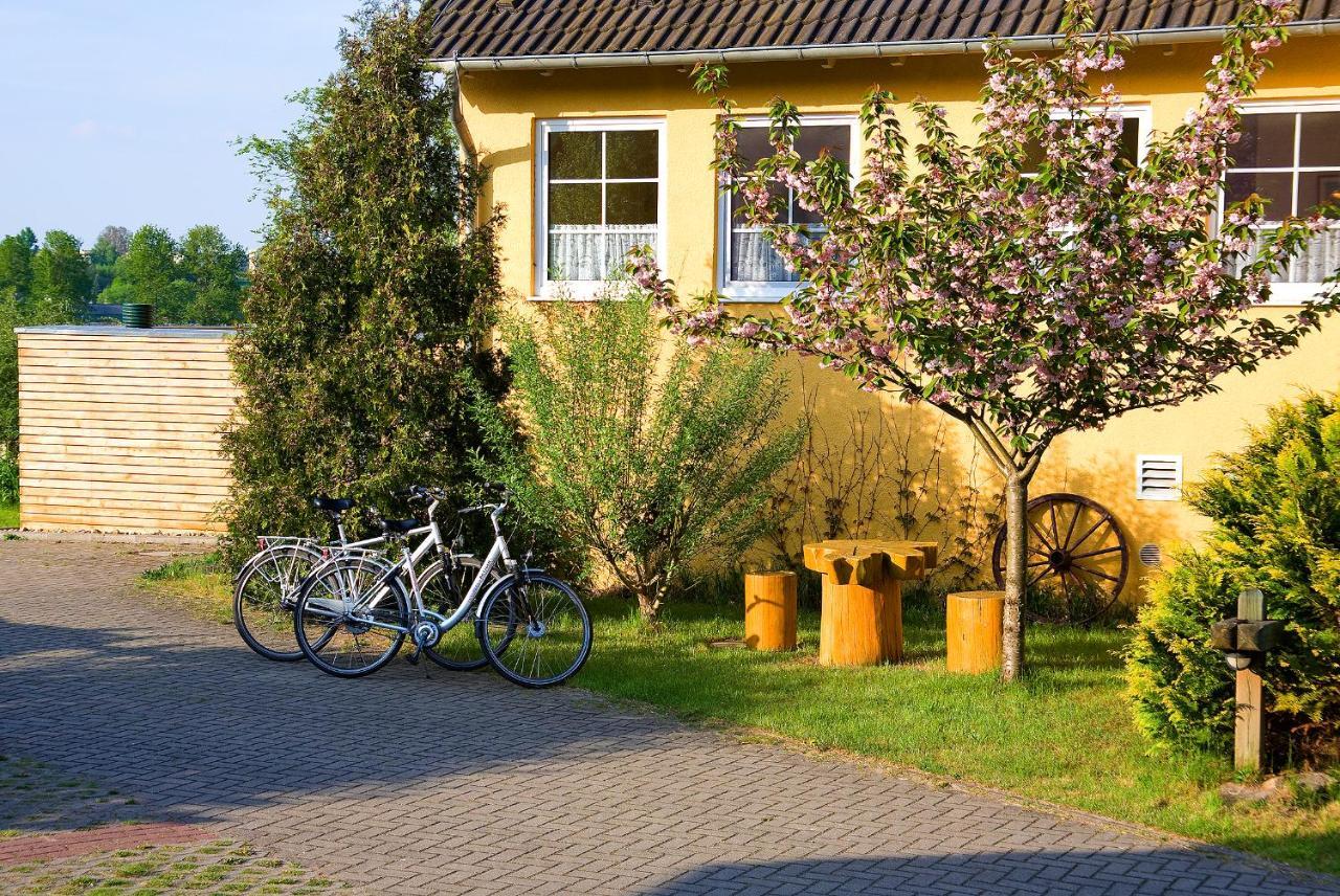 Hotel Am Mueritz-Nationalpark Waren  Exteriör bild